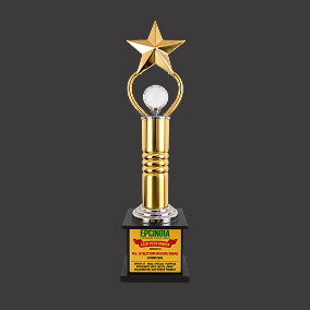 STAR PERFORMER